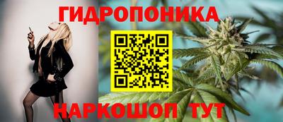 кокс Ставрополь