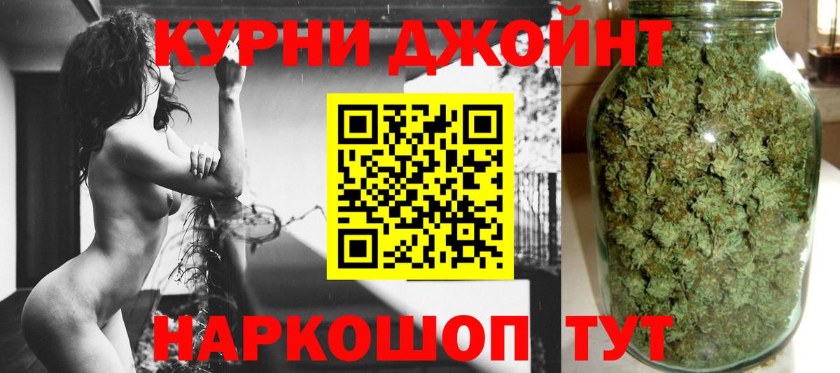 Конопля сатива Нурлат